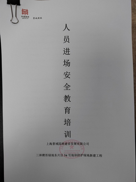 image9.jpeg