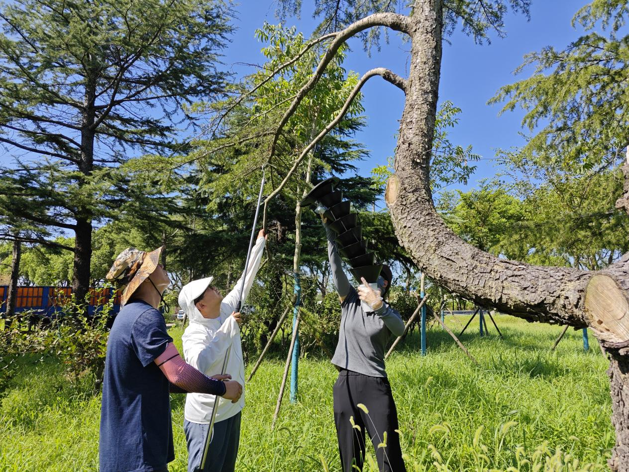 上海林业技术网